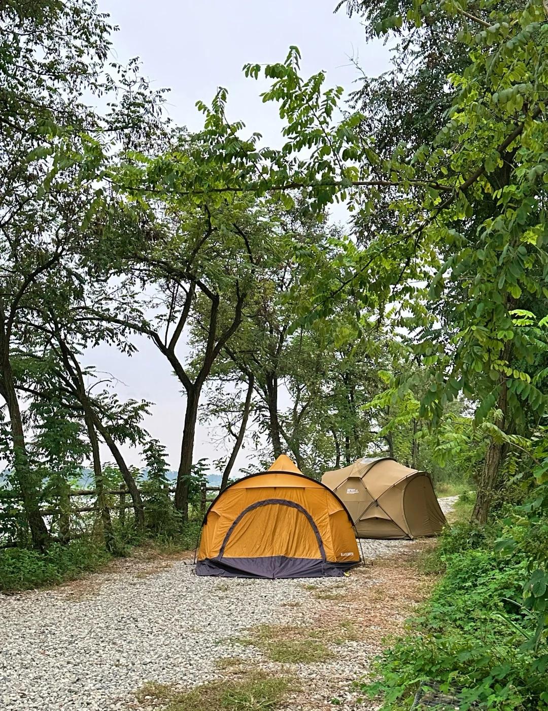 10.1实况➡️岷江边开车直达成都免费露营这免费露营地在可以观岷江风景的一