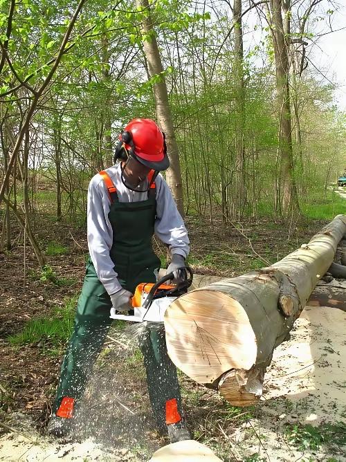 “恩将仇报？”河南夏邑，男子砍树时被歪倒的树砸伤，急需手术治疗，男子家人没在身边