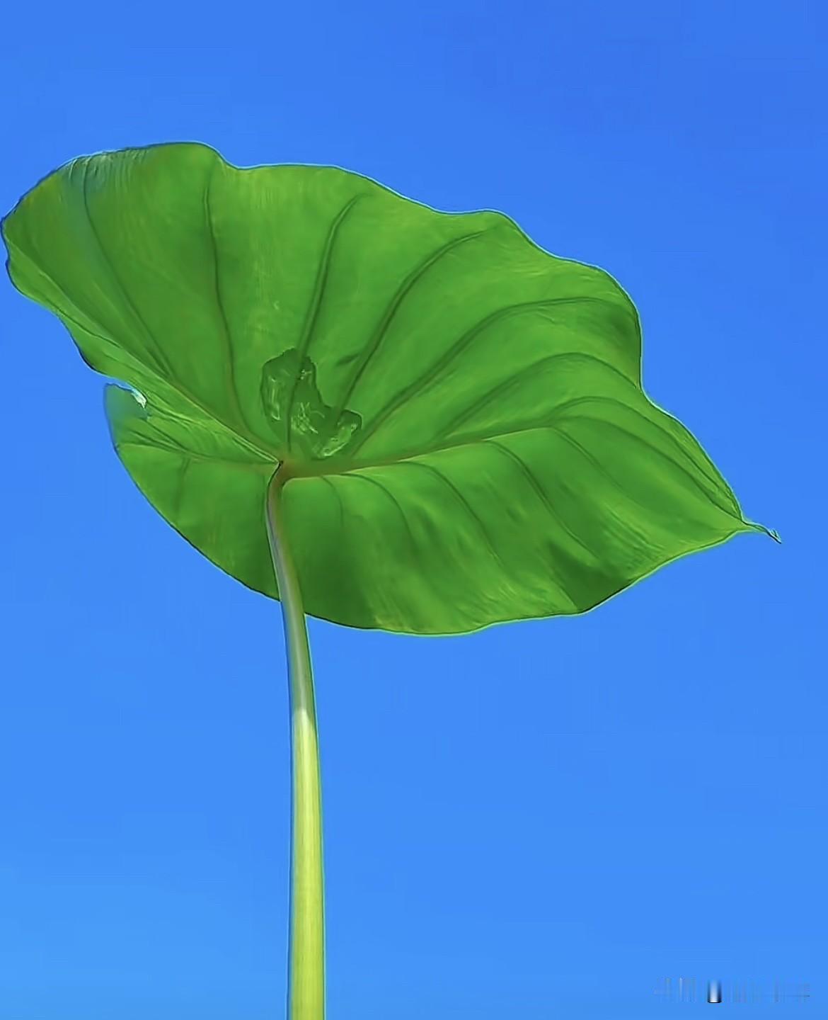 下联，请雅对上联：山青水净下联：风清月朗