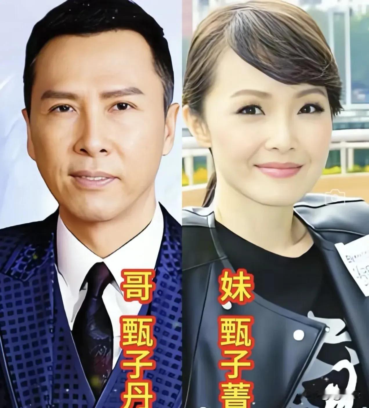 娱乐圈这些亲兄妹，一个比一个低调，好多人都不知道他们是一家人。甄子丹功夫硬朗，