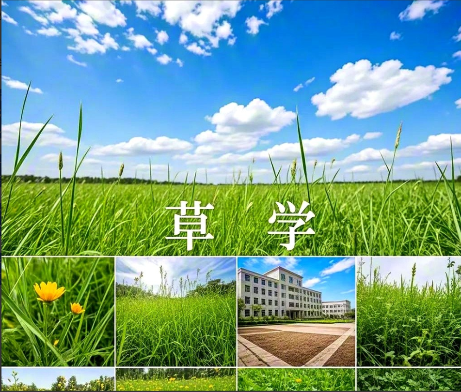 二叔为了自己所谓的面子让自己的女儿去读985大学的冷门专业，二叔的女儿当年高考考
