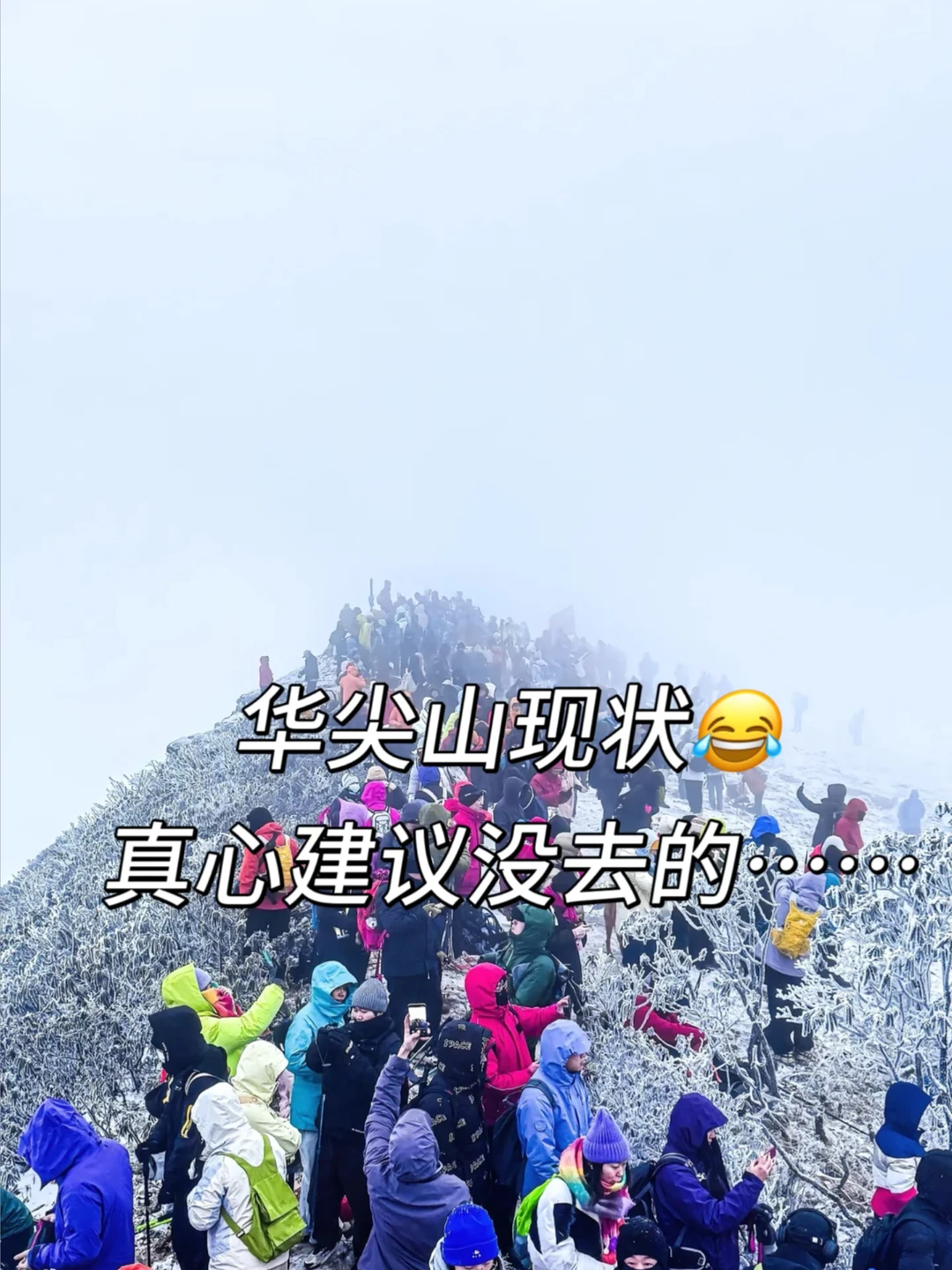 华尖山已回，我的建议是……