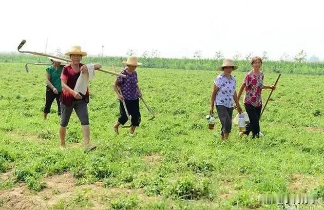 有个二十几岁的小伙发视频演讲，他说前三十年农民要交公粮农业税，现在不但不用交了，