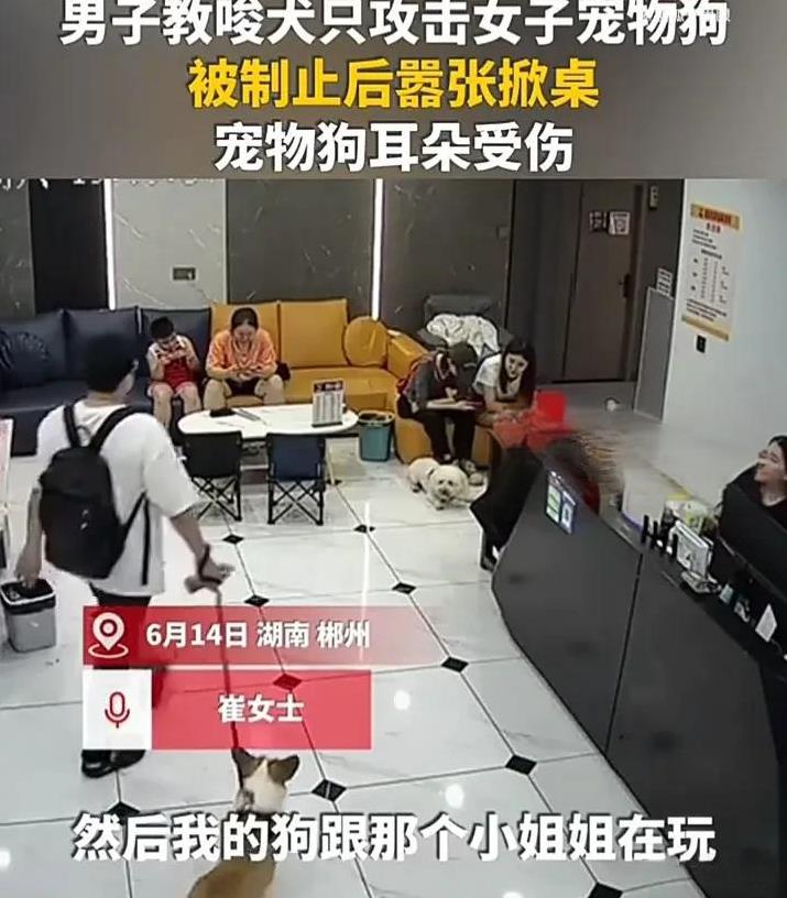 简直太嚣张了！6月14日，湖南郴州一名女子正在店里和小狗玩耍时，突然一个陌生男子