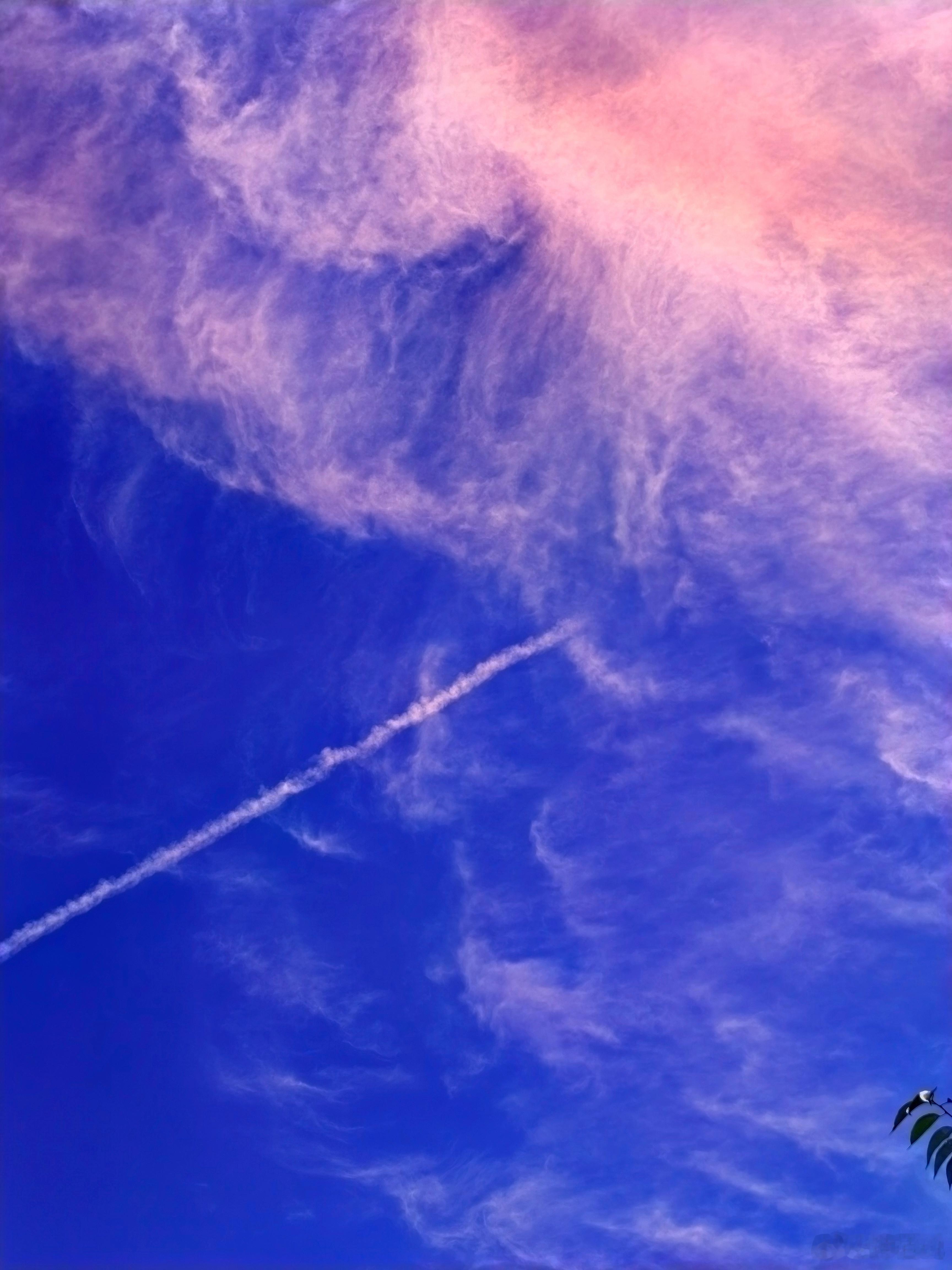 中餐厅张雅琪这个发型《星球大战》（地方写真版）
