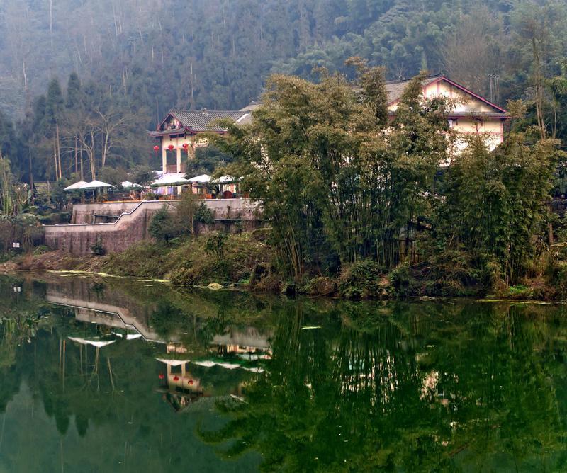 嘿，你们听说了吗？四川有个263斤的大哥，大手一挥花两万多，雇了9个轿夫把自己抬