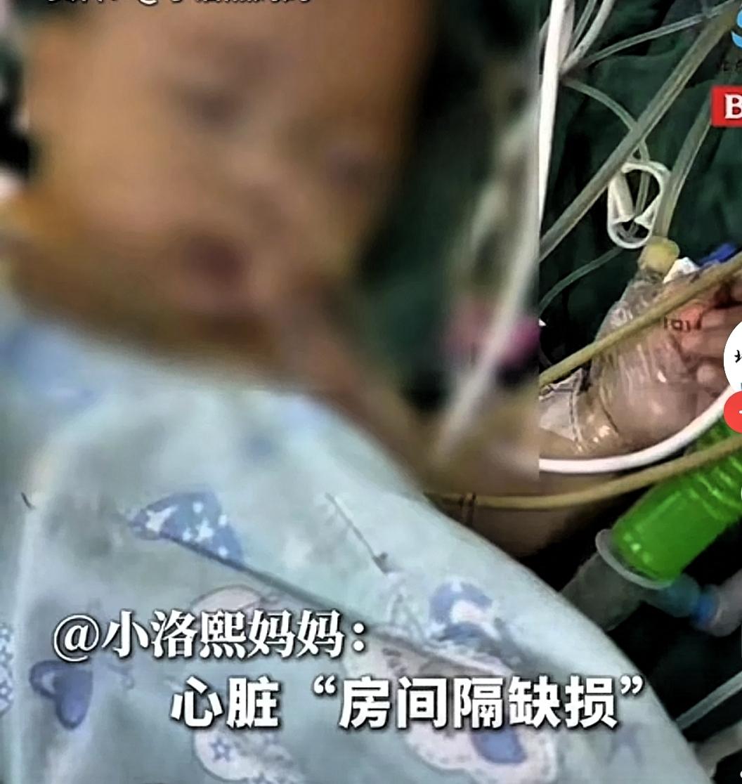 宁波妇幼保健院连5个月大早产婴儿的心脏手术都敢扛下，不得不让人敬佩，虽然最后的结
