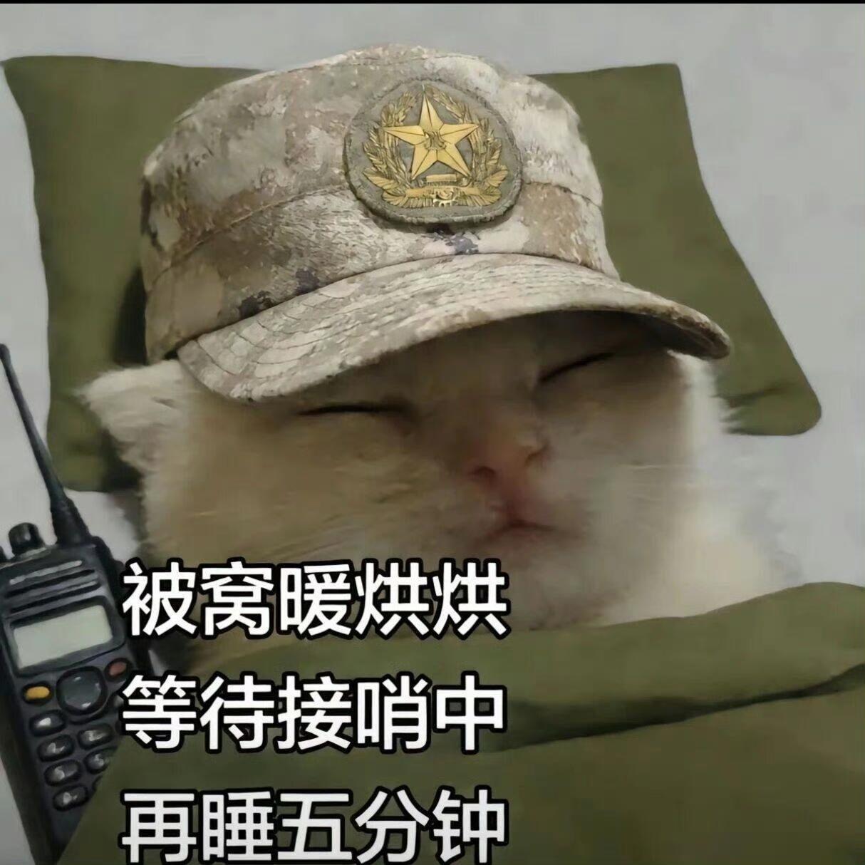 被窝暖烘烘，等待接哨中，再睡五分钟，哨声一响，立刻化身最可靠的“喵卫士”