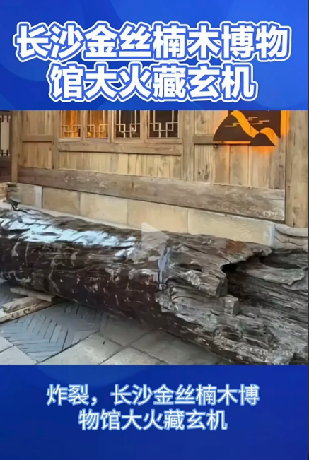 金丝楠木不容易燃烧……早就被掏空了……天下粮仓……