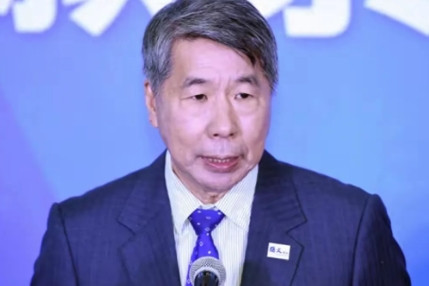 张亚中骂国民党骂得真好！骂国民党只有屁股没有大脑。显然，张亚中要选党主席，被