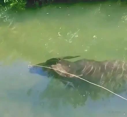 上午10:48的时候，半导体以为首的科技板块回暖，创业板翻红，接下来怎么看？半导