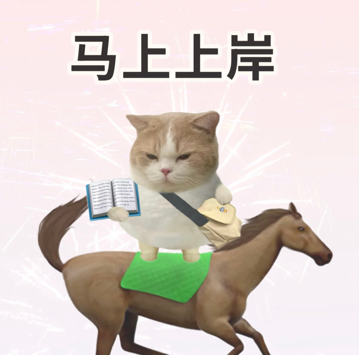 考研出分时间考研查分我都跟着紧张了，好不容易熬到初八还查不了，但咱们分析下感觉