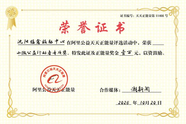 “潮声”报道引发关注: 沈阳猛禽救助中心获天天正能量奖