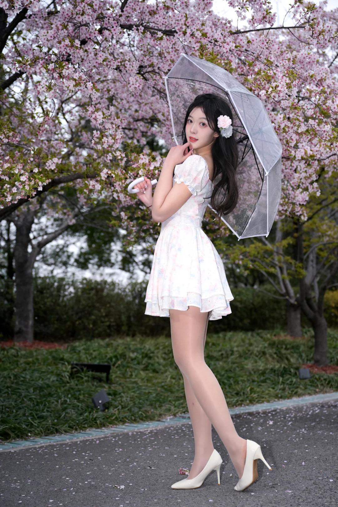 雨丝轻沾透明伞面，风便携着顾村樱林的温柔，将粉白花瓣揉碎成雾，漫落在发梢、裙摆，