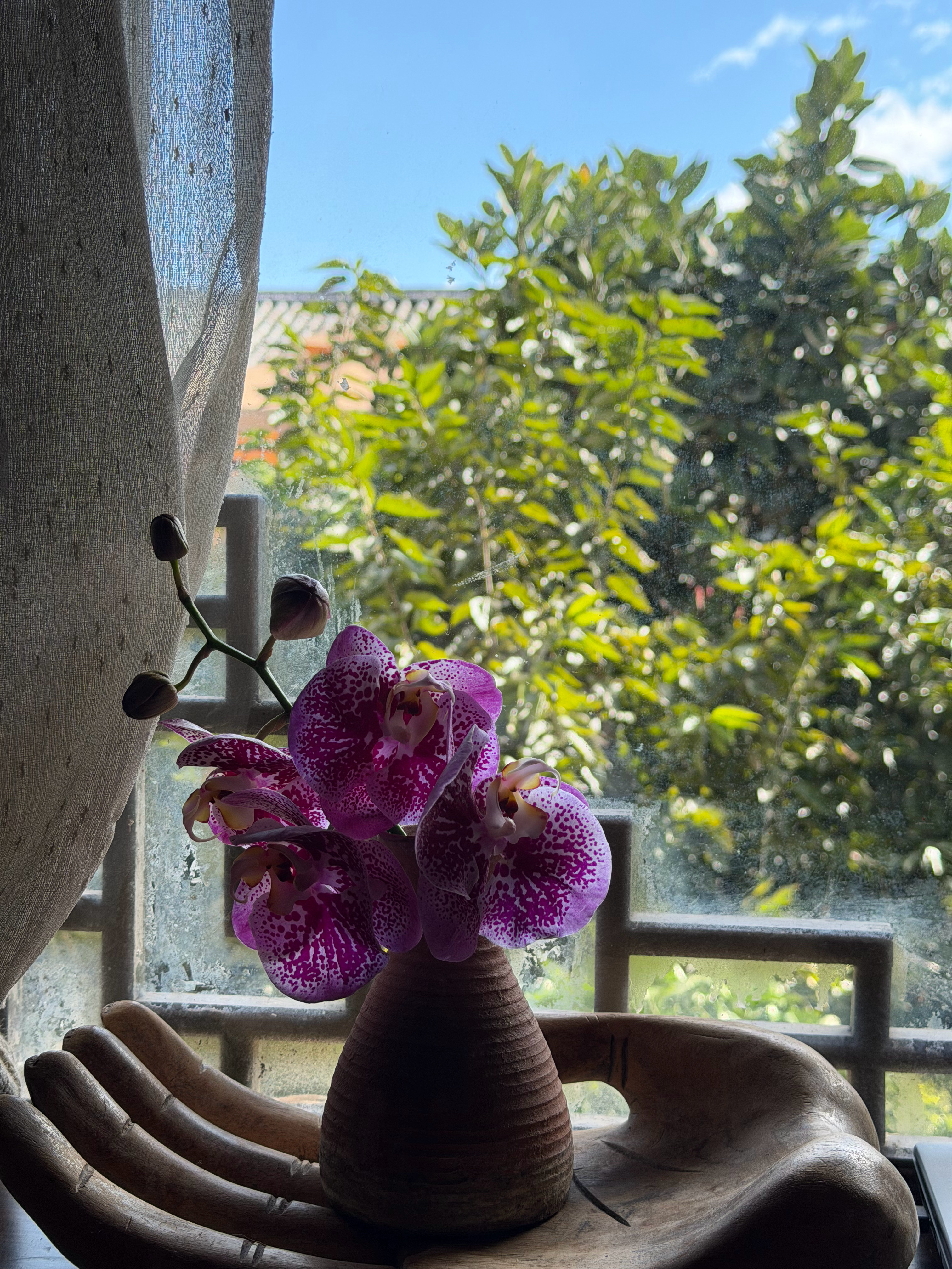 越来越强大的心力，源自于实际发生的感受和体验，远远大于预期的感受和体验。为此，人