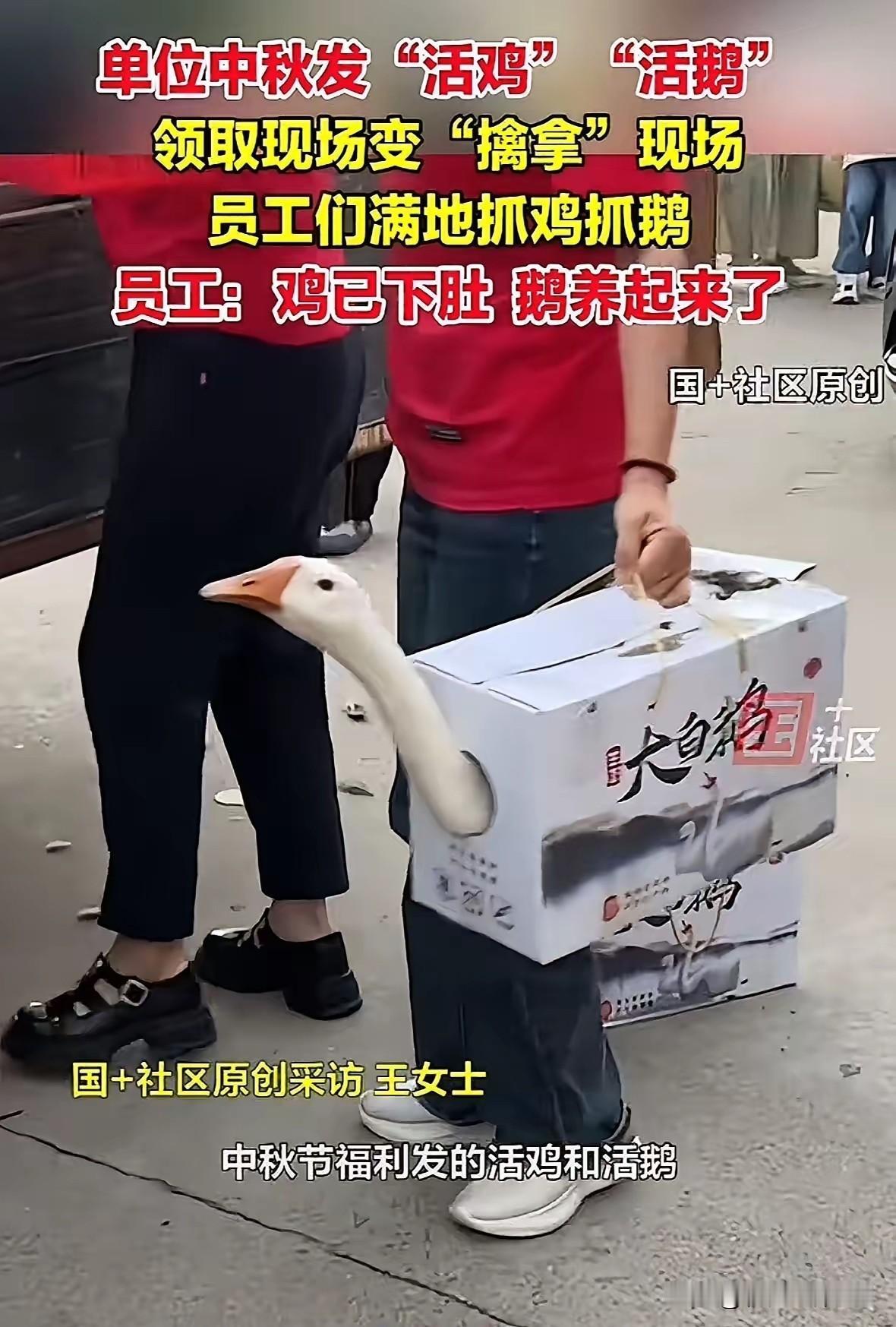 万万没想到！山东威海这公司发的中秋员工福利，你铁定猜不着。常见发月饼、现金红包的