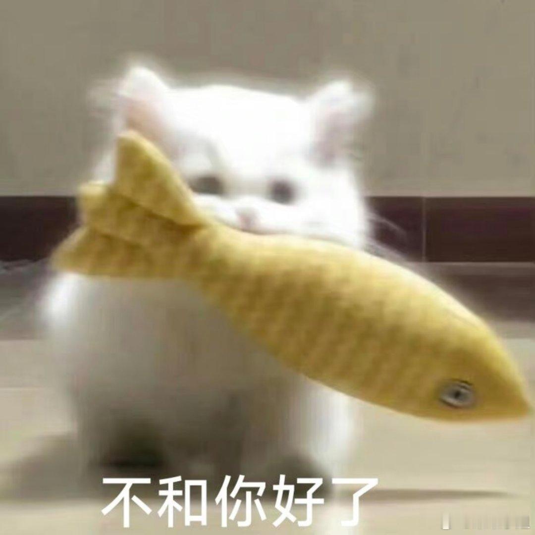 猫咪表情包。​​​