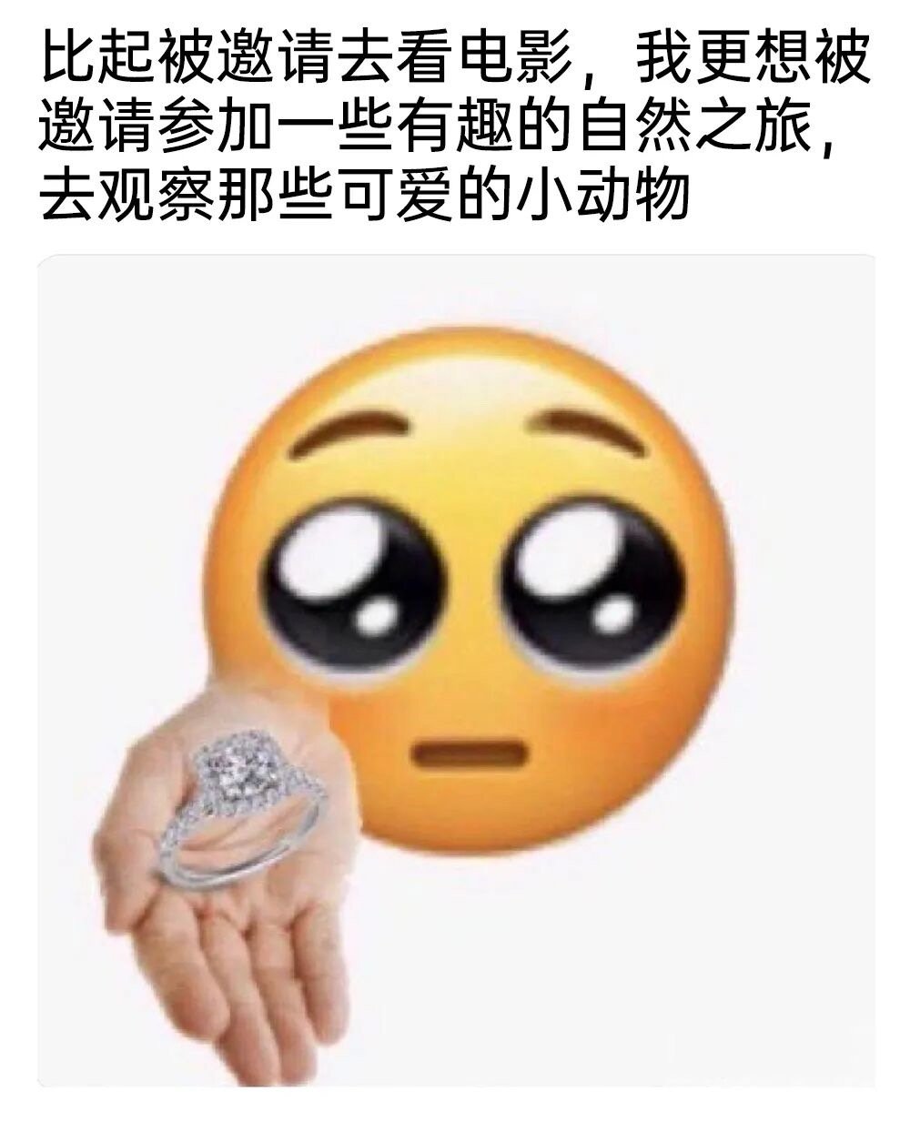 小动物好