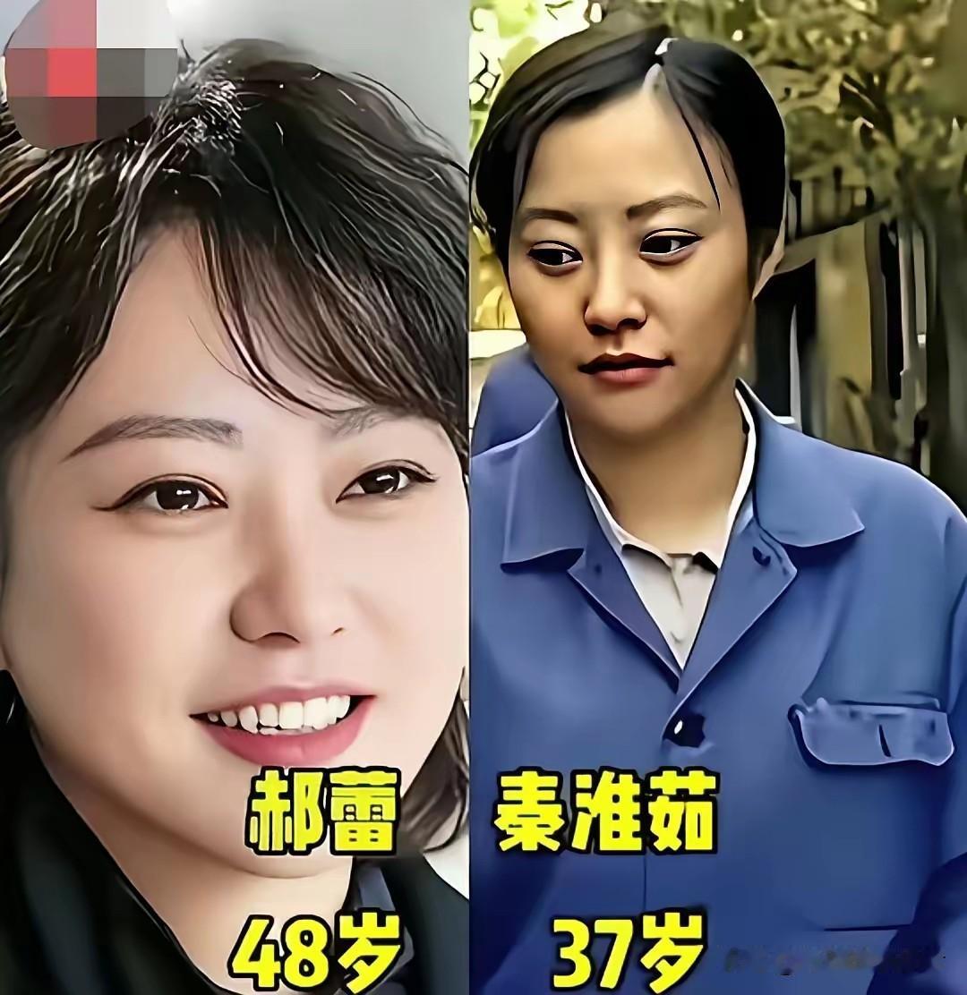一部《情满四合院》，藏着多少人的追剧回忆。郝蕾演活了温柔坚韧的秦淮茹，何冰把直爽