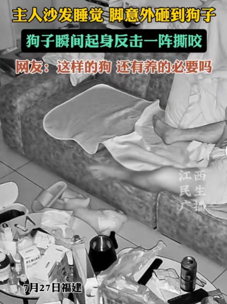 这也够倒霉的！8月2日江西民生广播报道，福建，一男子在家里沙发上睡觉，睡得正香就