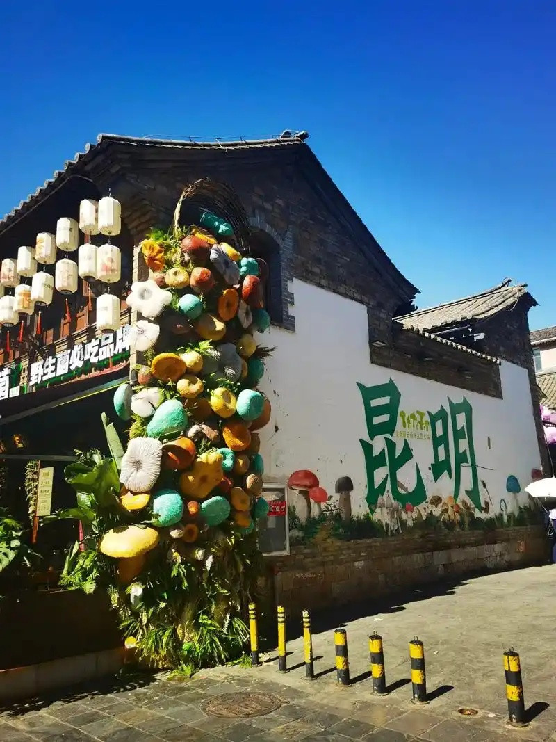 云南昆明夏日游，看看这些美景心动之旅！