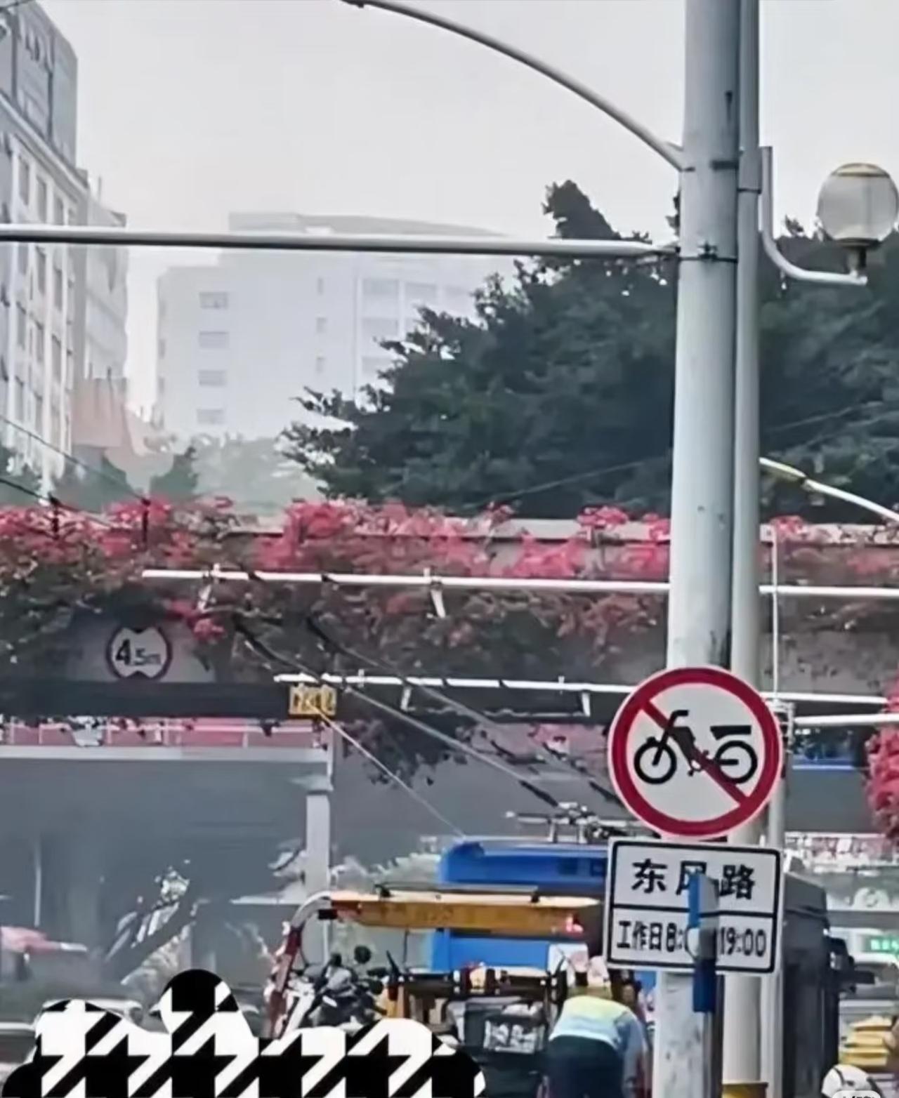 当你发现，广州市很多路段都在严查电鸡，现在的电鸡数量不计其数，当你走在人行道上，