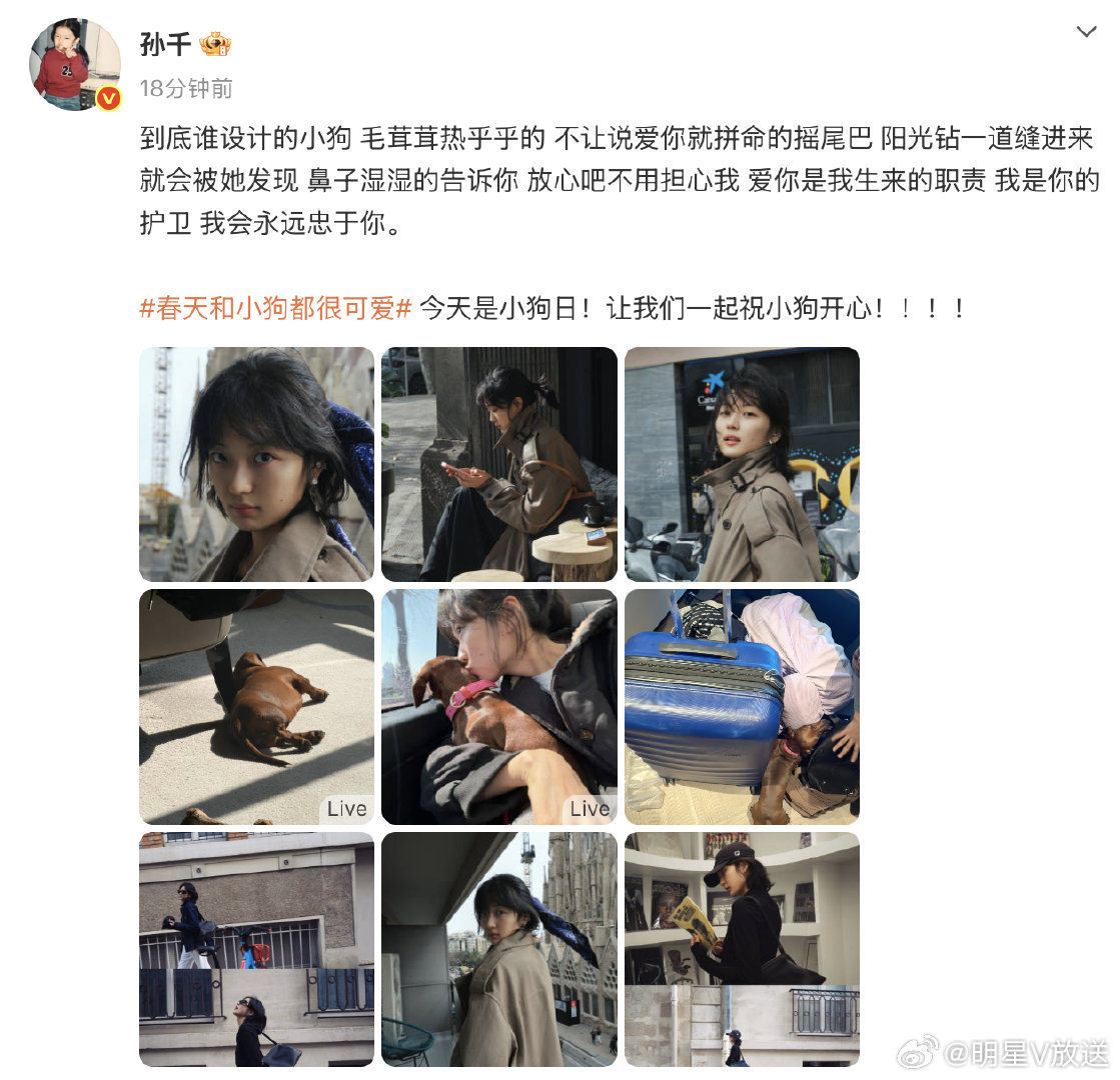 孙千写的小狗文学好有灵气孙千到底谁设计的小狗很喜欢看孙千的文字，很有灵气很有