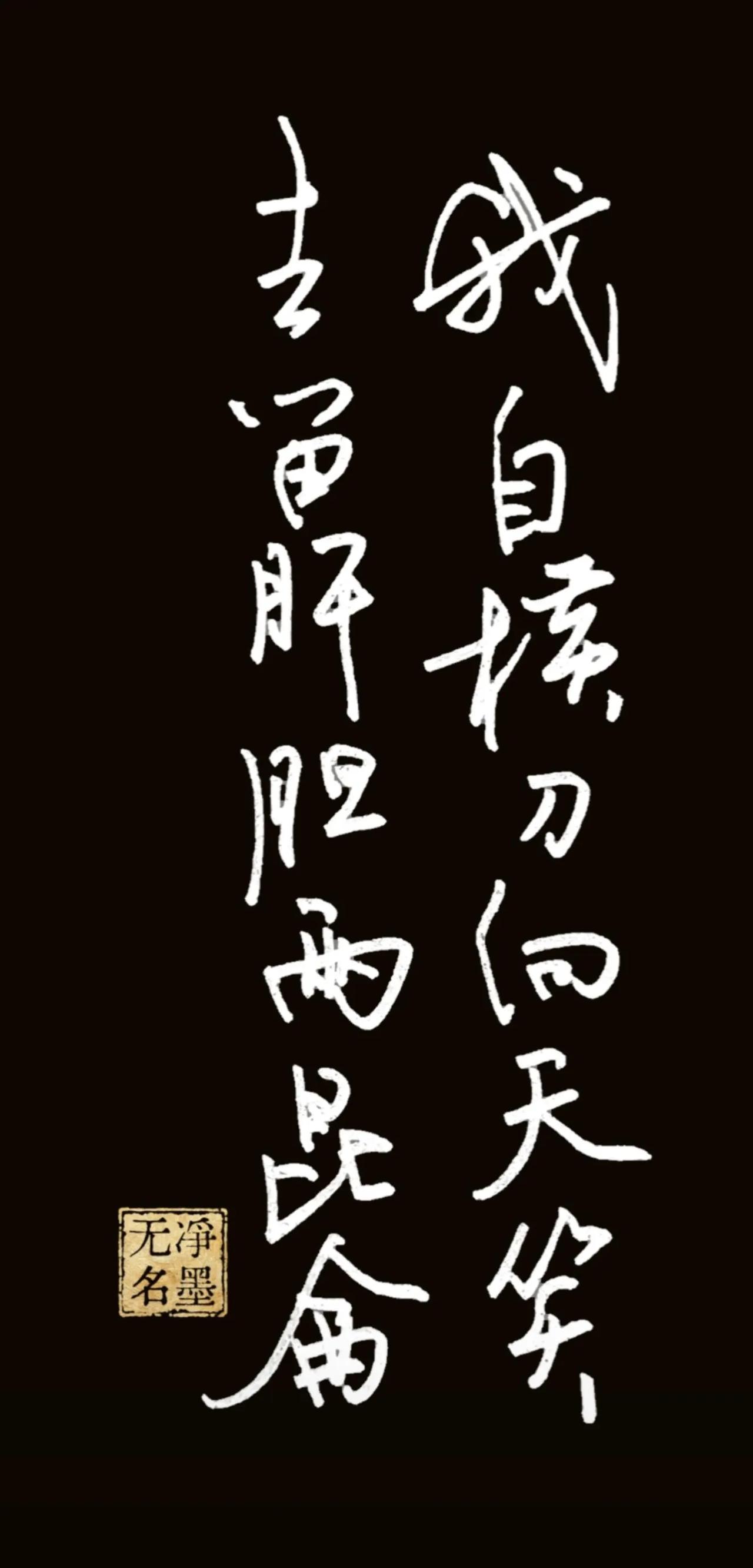 钢笔书写，敬请指教。一、释文（传统竖排，右列先读）右列（从上至下）：我自横刀