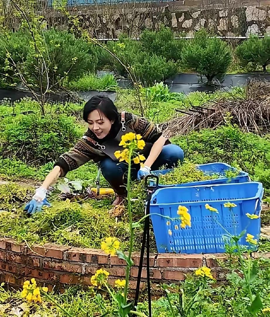 汪涵杨乐乐隐居乡下打造菜园，绿色种养方式太用心汪涵与妻子杨乐乐，低调在长沙