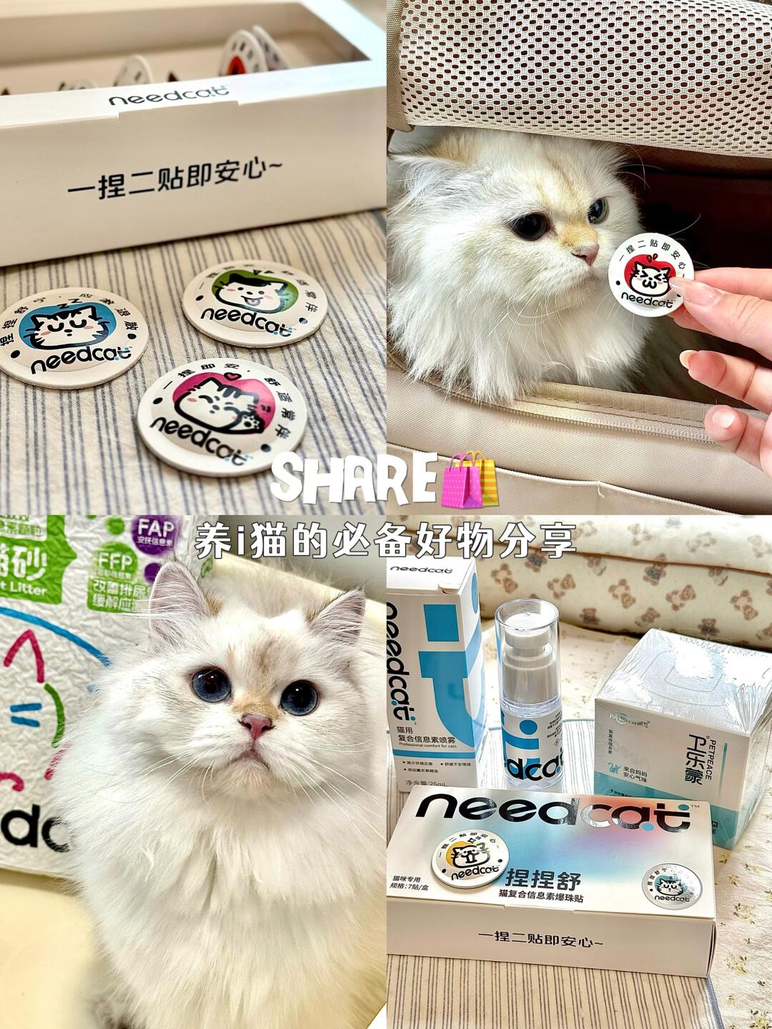 养猫出行好物分享｜胆小应激退退退！
