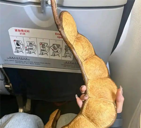 1米长豆荚为何能过安检？你以为带的是植物，其实是“开光法器”在云南，1米长的榼