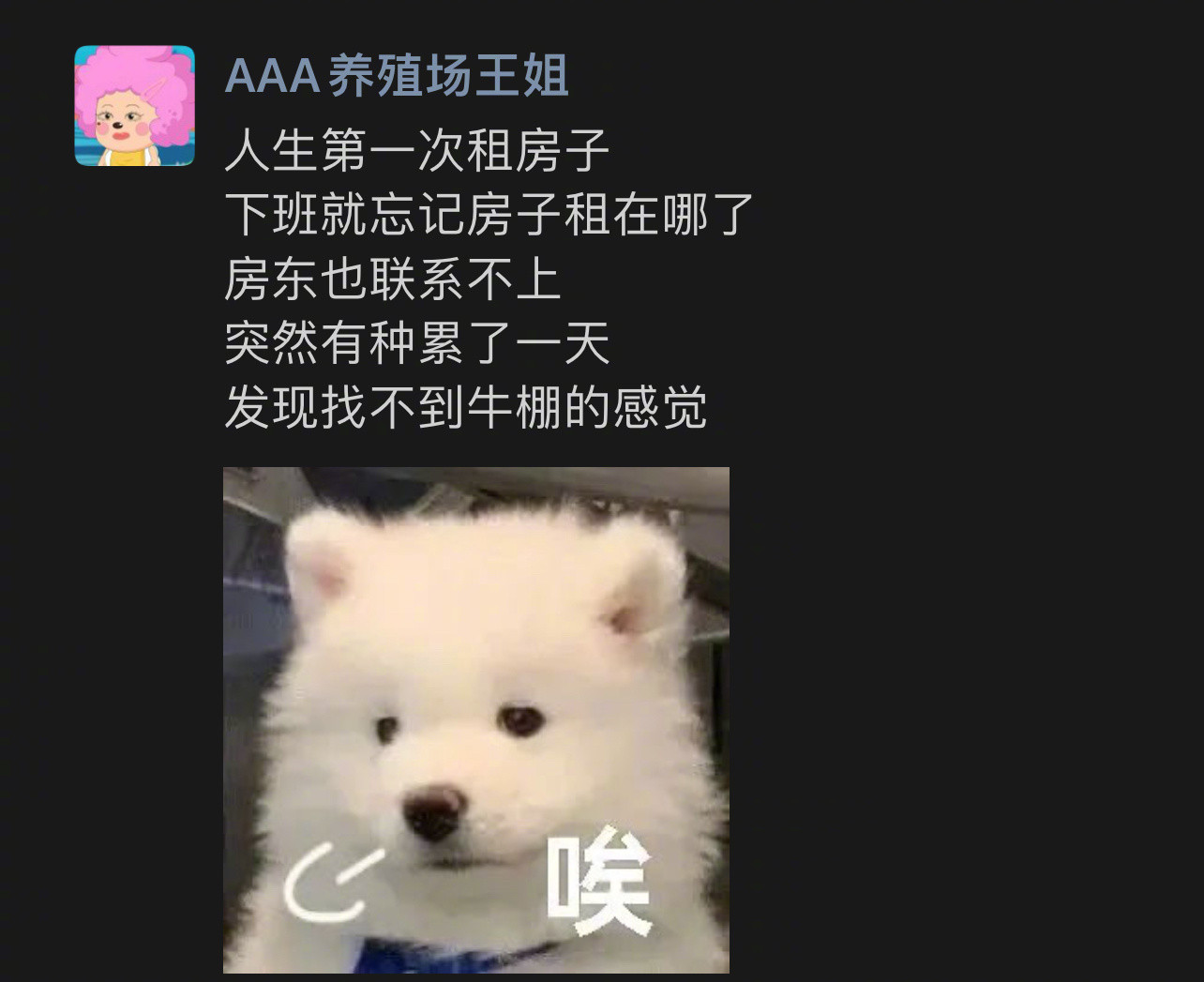 关于人生第一次租房子我的幽默灵感片场​​​