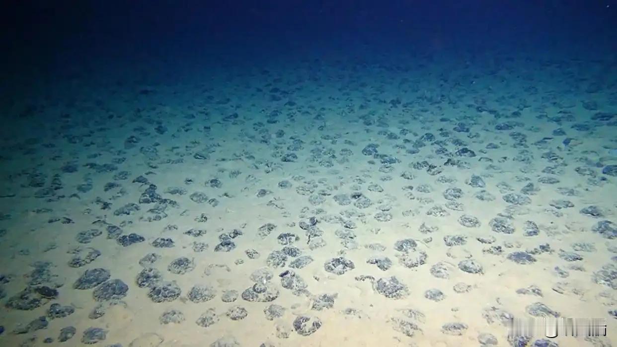 深海采矿热土惊现上万种新病毒，开采前得先搞明白太平洋海底有块地方叫克拉里昂-