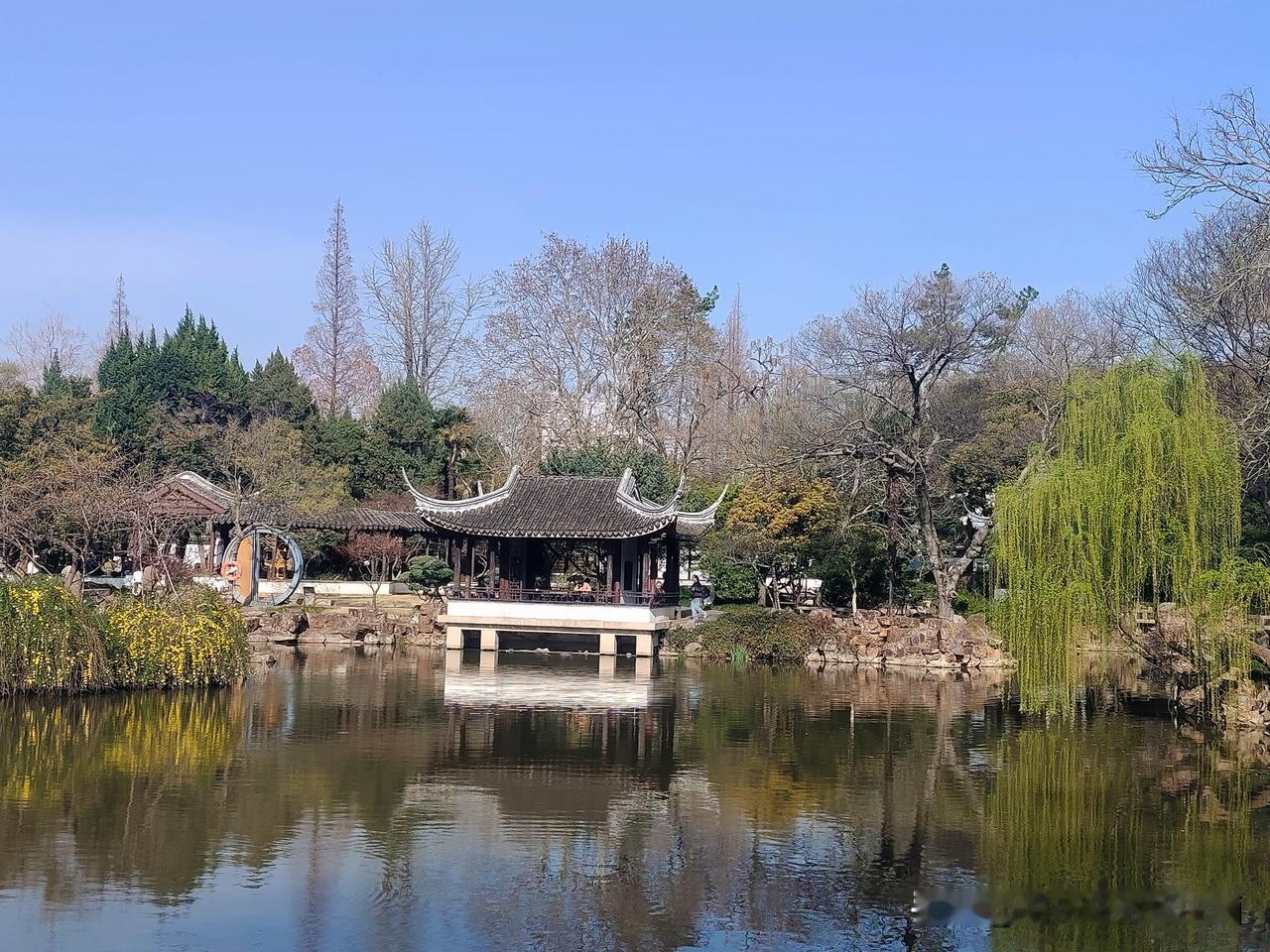 太仓弇山园绝对是春游打卡的宝藏地。一进园，满眼的春色就扑面而来。园内的亭台楼阁古