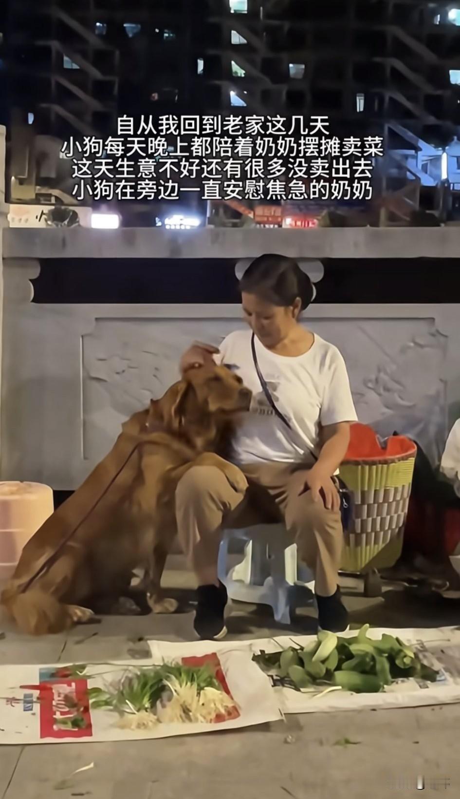 泪目了！一位小姐姐回老家休息，她每天晚上都会出去散步，而每次走到一座桥上的时候，