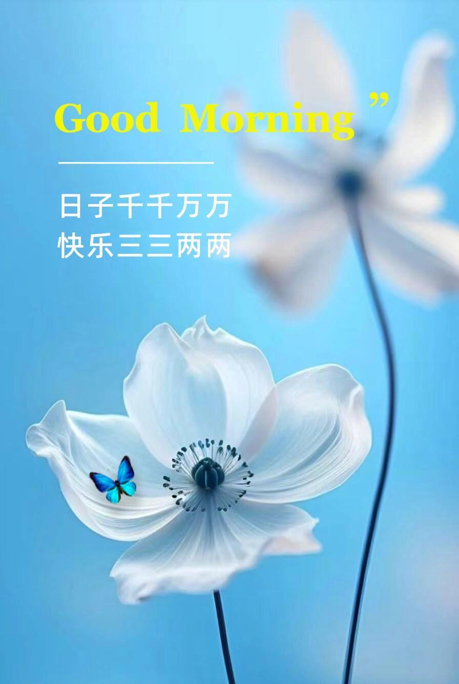 想要生活得开心快乐，可以从以下几个方面入手：1.保持积极心态学会感恩，关