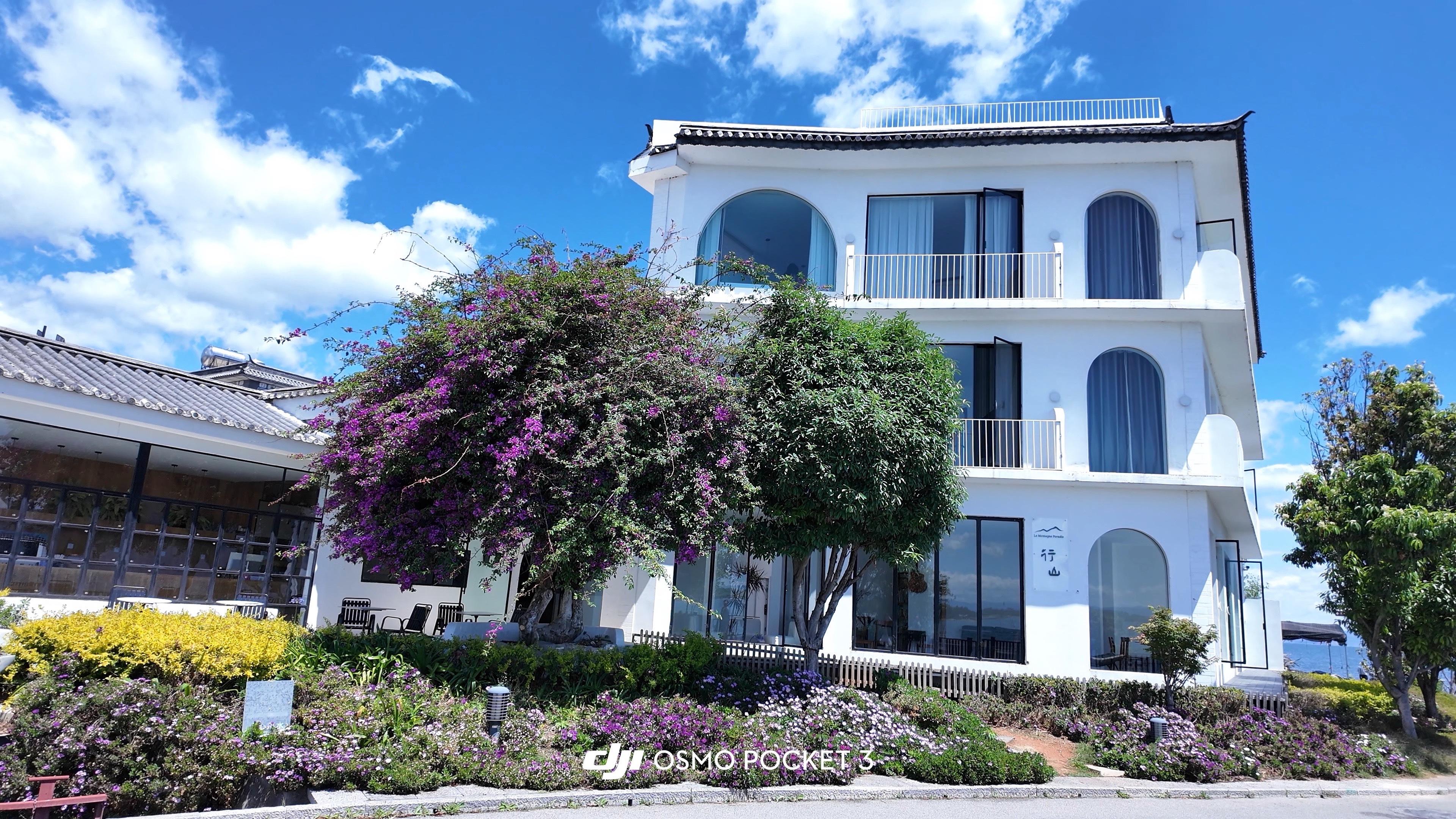 人一生的露水情缘太多滴在叶子上太沉也是错太轻也不知所措。