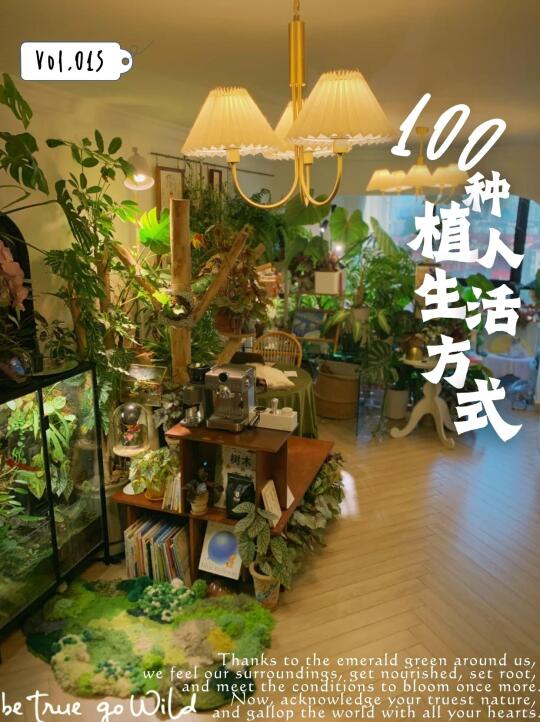 这样的森系小家谁能不羡慕呢😋