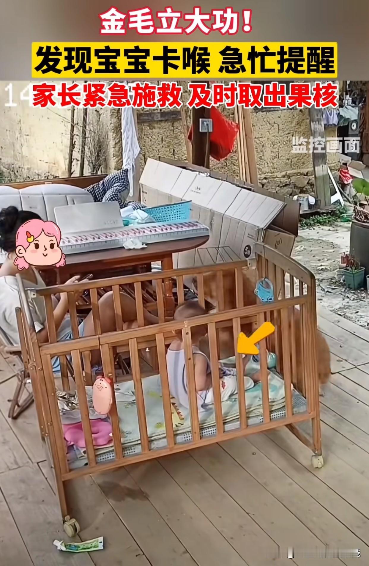 “太粗心了吧！”广东一位妈妈在玩手机时，家里的狗狗突然发疯似的叫唤，还不停地扒拉
