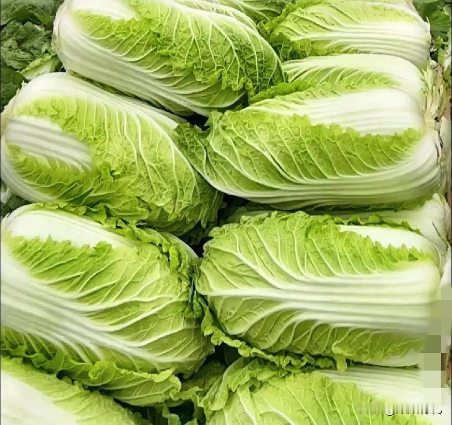 白菜又涨价了，去菜市场发现今年的白菜比往年要贵，估计是今年的白菜产量少。