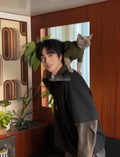 居家感的许魏洲抱着猫咪，整个画面都透着温暖。那首初次见面请多指教，像是唱给猫咪，