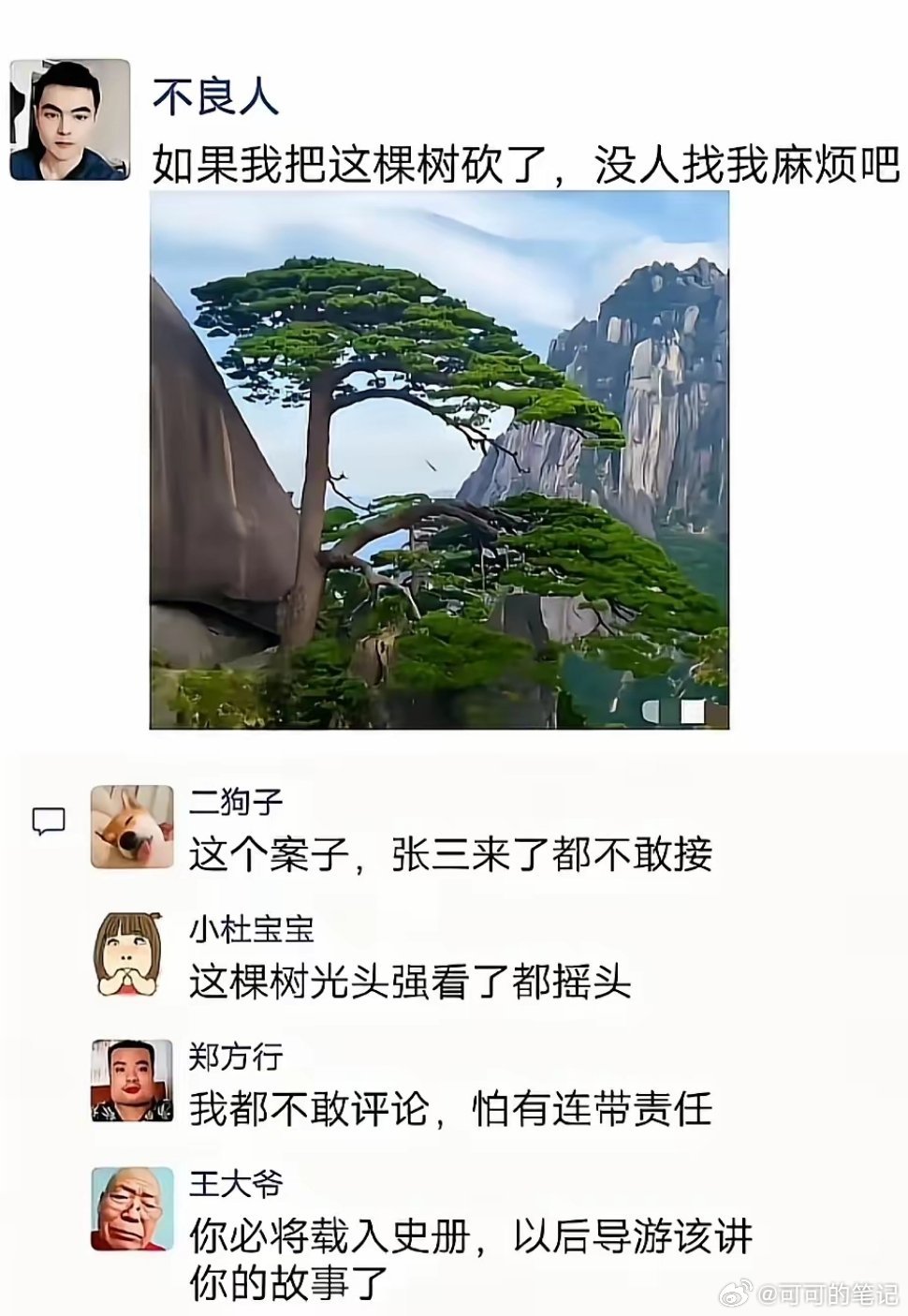 王大爷果然才是神评！