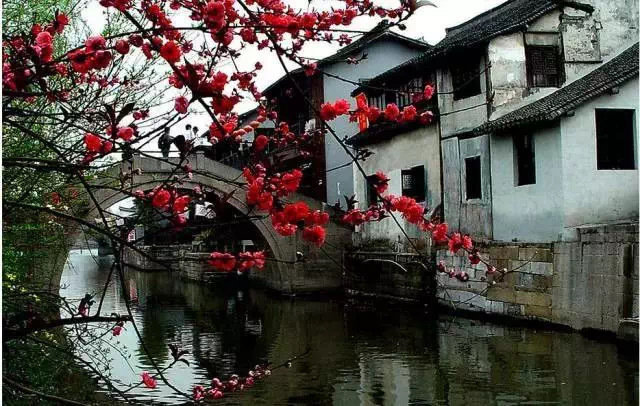 一到春天，苏州就美成了姑苏城说起最温柔的春，莫过于苏州了；一座2500年的城，温