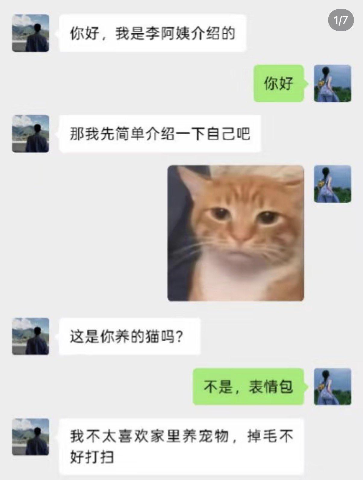画面感太强，小心屏幕进水。相亲能聊出这种效果，也是种本事，看来对方是个有趣的灵魂