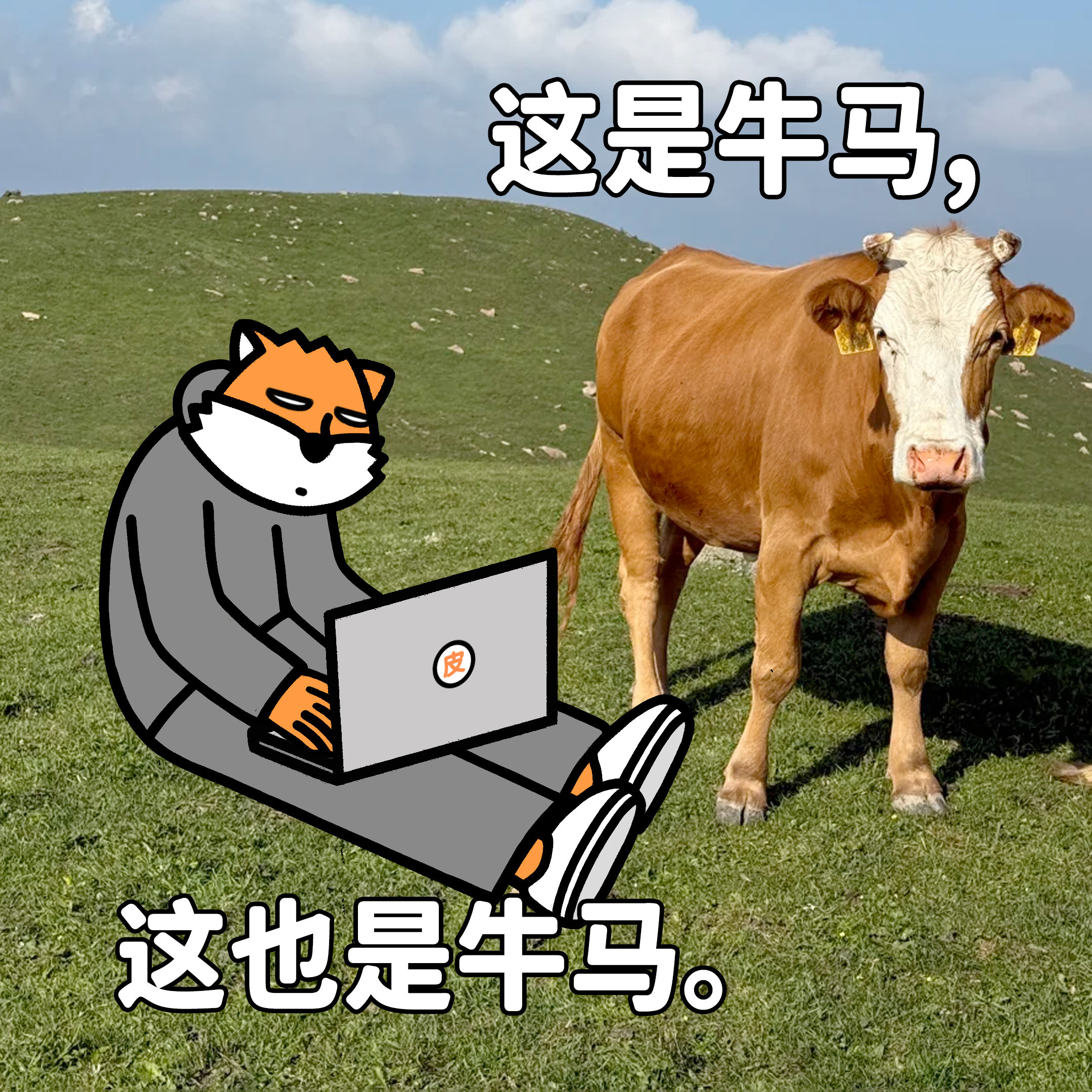 那些年你在哪些地方打过工？高端的工作往往只需要朴素的工位任何时间任何地点超级