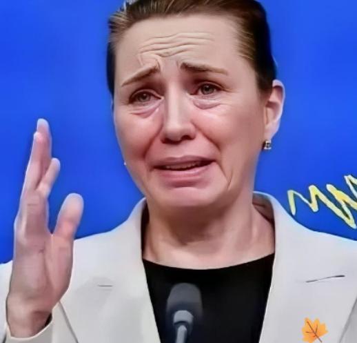 丹麦这次老实了，在对中国的问题上咋咋呼呼，现在倒好，在格陵兰岛的问题都没法解决了