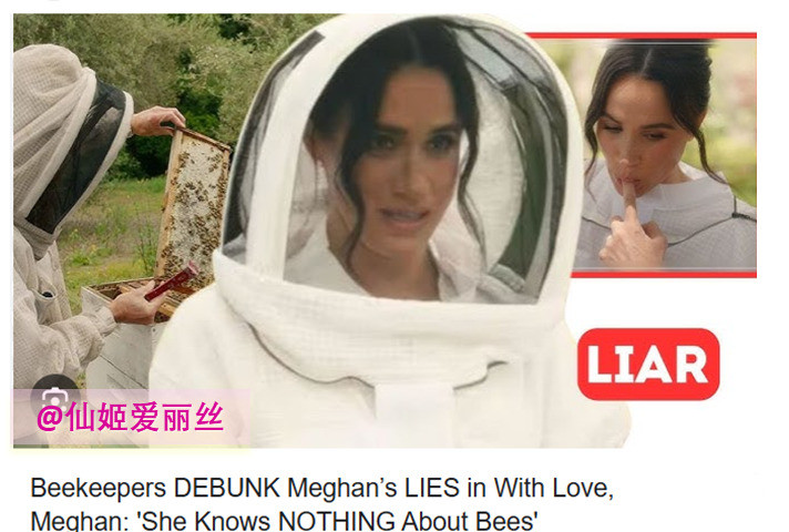 梅根养蜂惹争议气死了！梅根这是要干嘛？她又来模仿别人了，