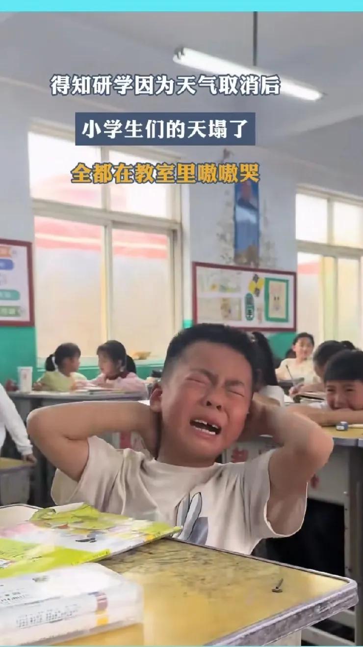 近日，一小学的孩子们当得知研学活动因天气原因被取消后，竟然集体在教室里面痛哭不止