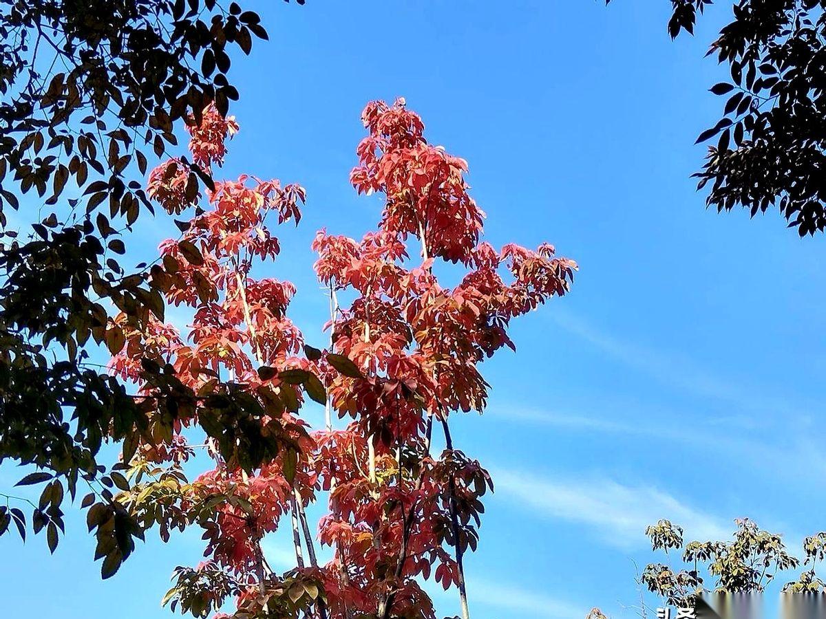 我跟你说个扎心的事儿。一个护士，干到退休，退休金一个月一千多块。你是不是觉得