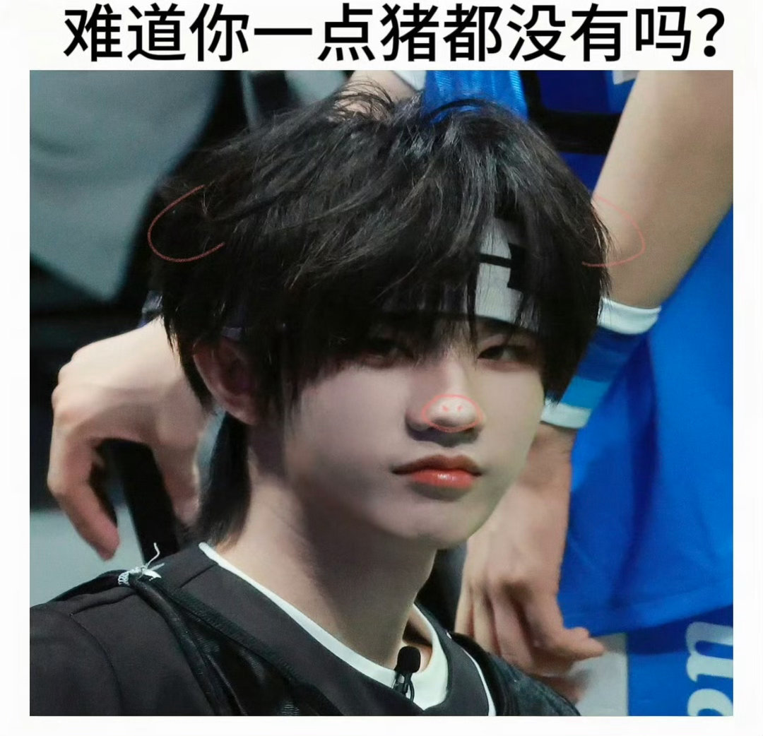 好喜欢这只小猪咪